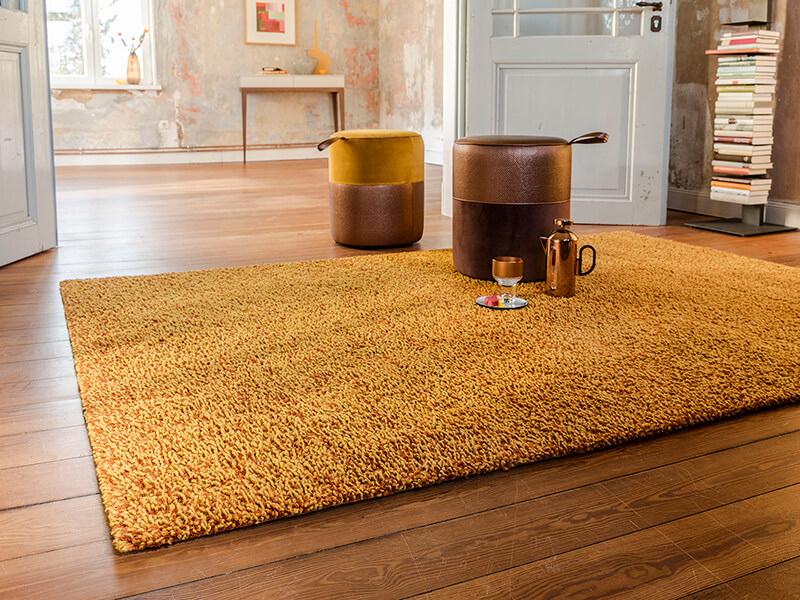 Tapis d'intérieurs